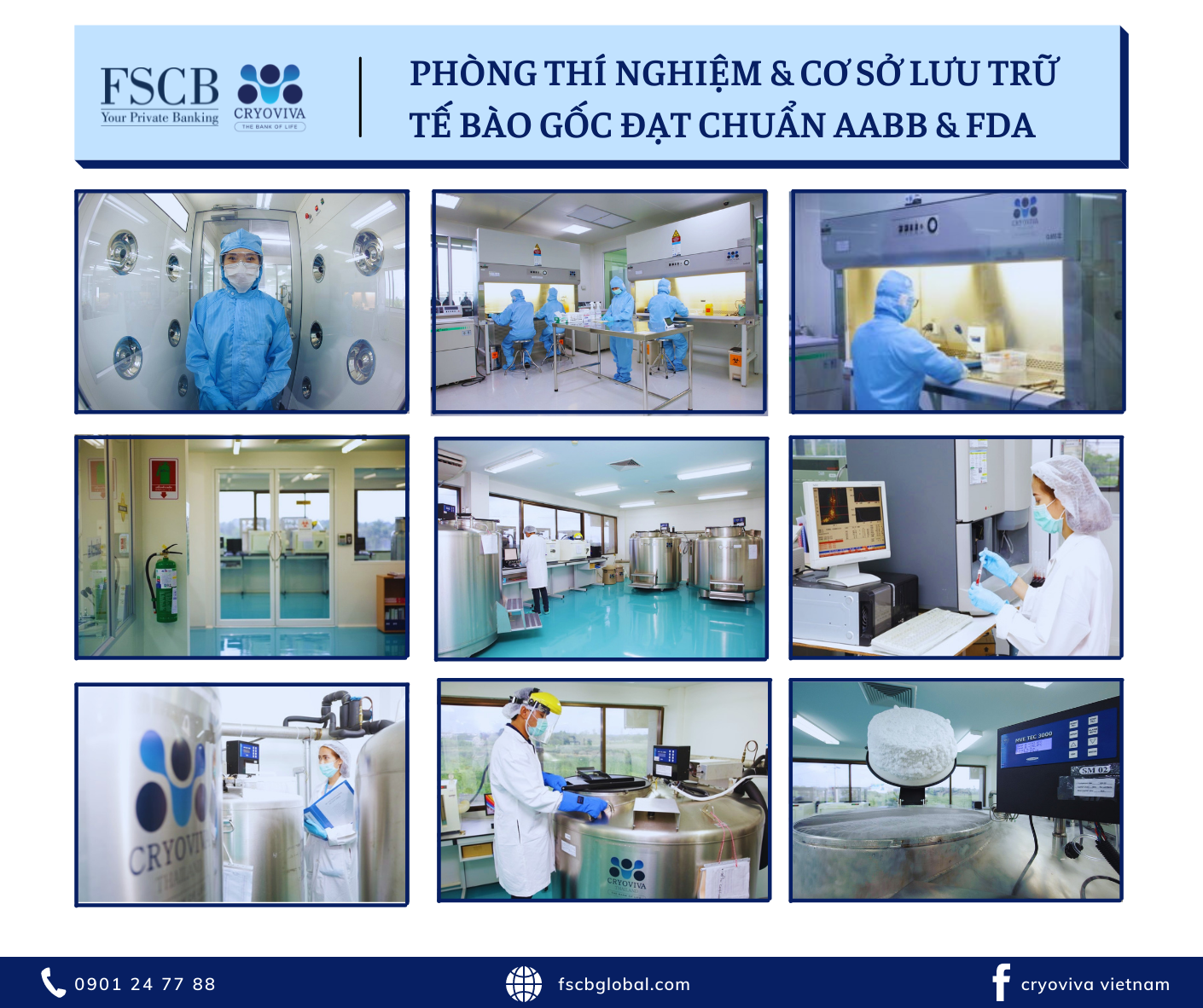lưu trữ tế bào gốc