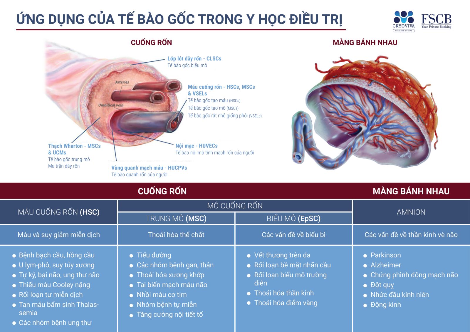 lưu trữ tế bào gốc
