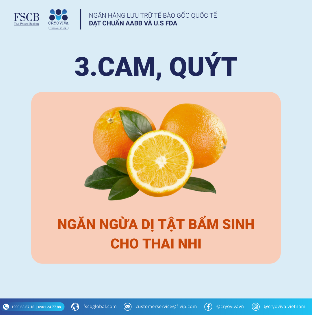 thực phẩm tốt cho mẹ bầu